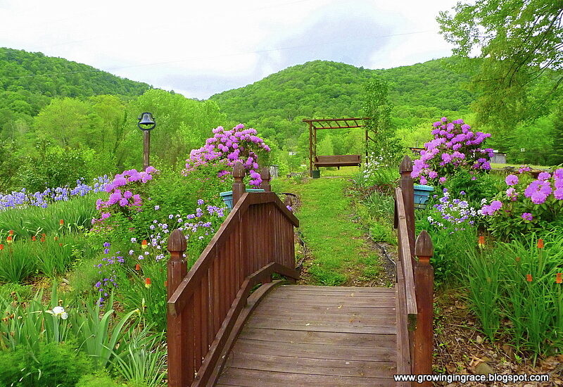 Growing in Grace | Sights Around Our Yard