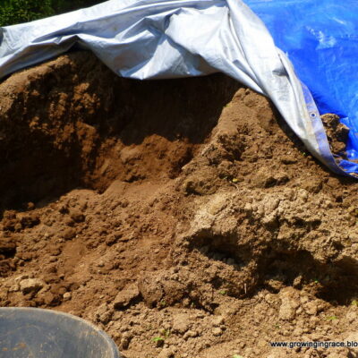 Growing in Grace | DIY Raised Bed Garden