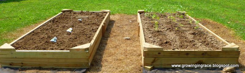 , DIY Raised Bed Garden, Growing in Grace
