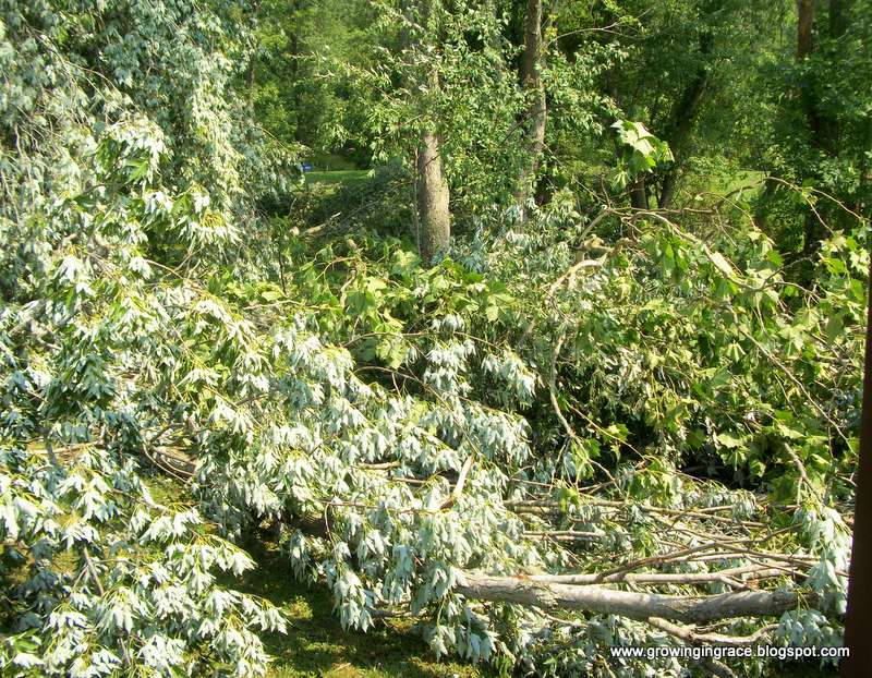 , Violent Storm Knocks Out Power for Eleven Days, Growing in Grace