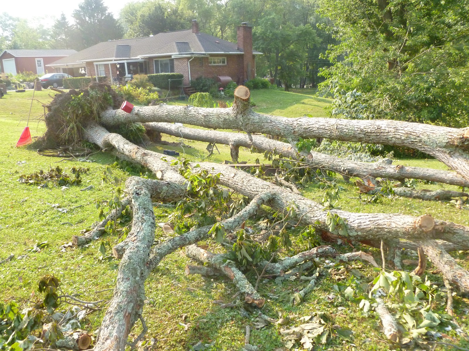 , Violent Storm Knocks Out Power for Eleven Days, Growing in Grace