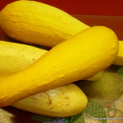 Growing in Grace | Yellow Squash Casserole