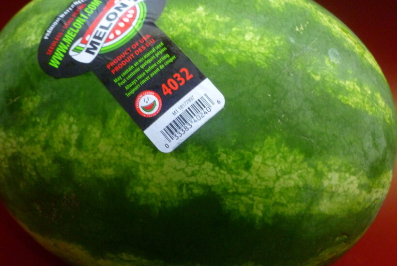 Growing in Grace | Watermelon Rind Blueberry Drink