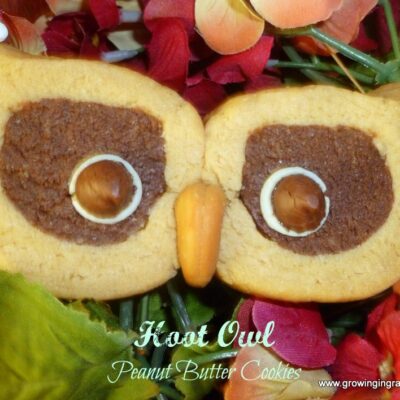 Growing in Grace | Hoot Owl Peanut Butter Cookies