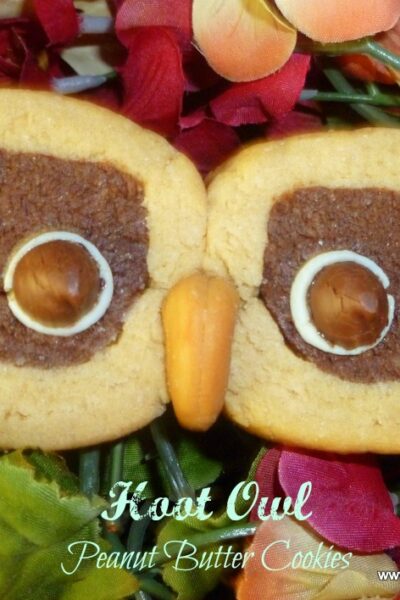 Growing in Grace | Hoot Owl Peanut Butter Cookies