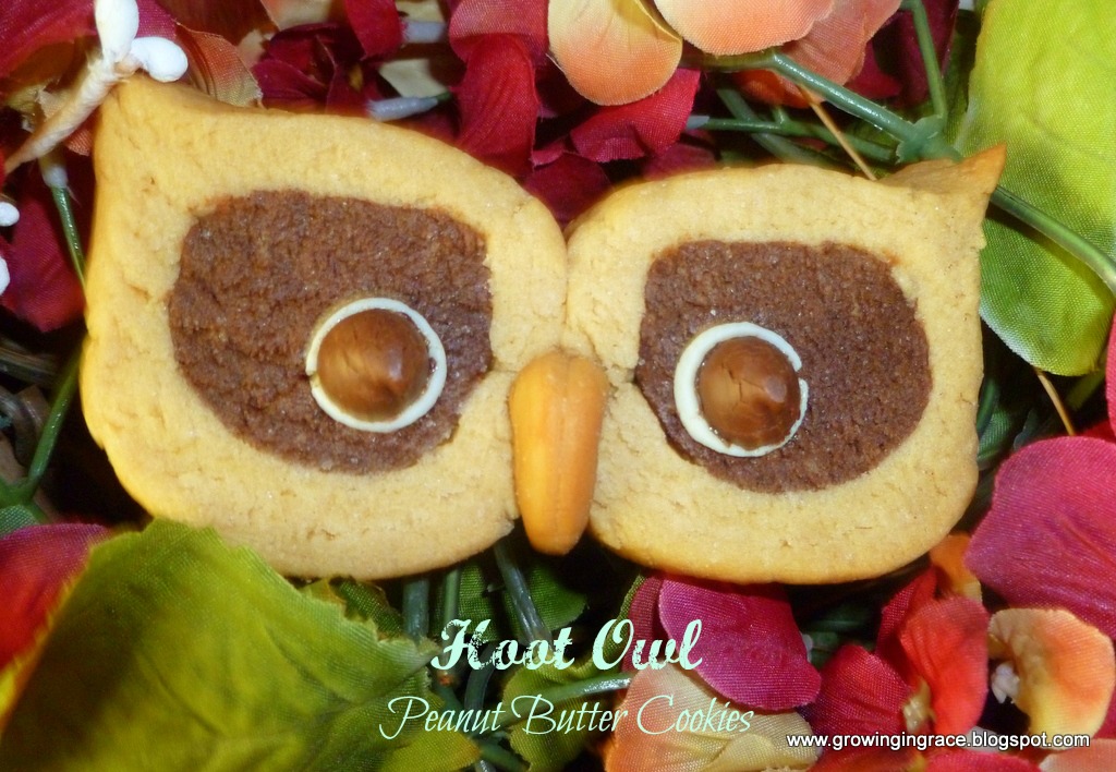 , Hoot Owl Peanut Butter Cookies, Growing in Grace