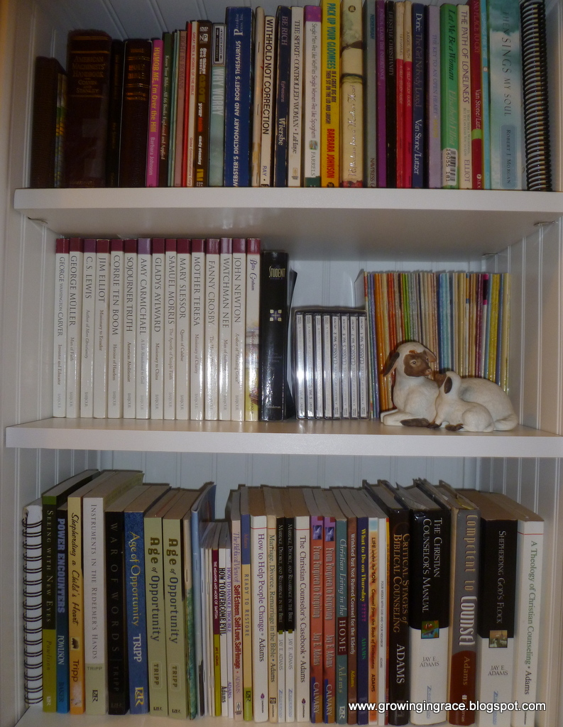 , Built-In Book Case Makeover, Growing in Grace