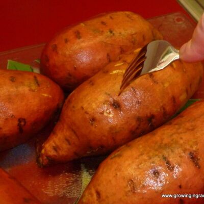 Growing in Grace | Sweet Potato Puff