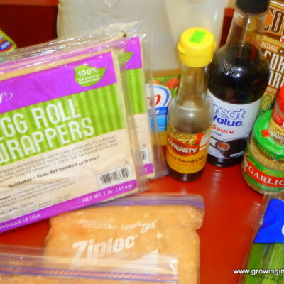 Growing in Grace | Healthy Egg Rolls