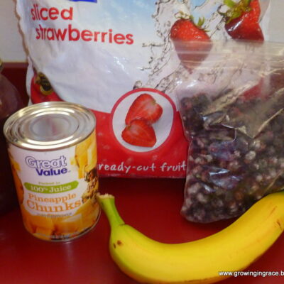 Growing in Grace | Healthy 5 Fruit Smoothie