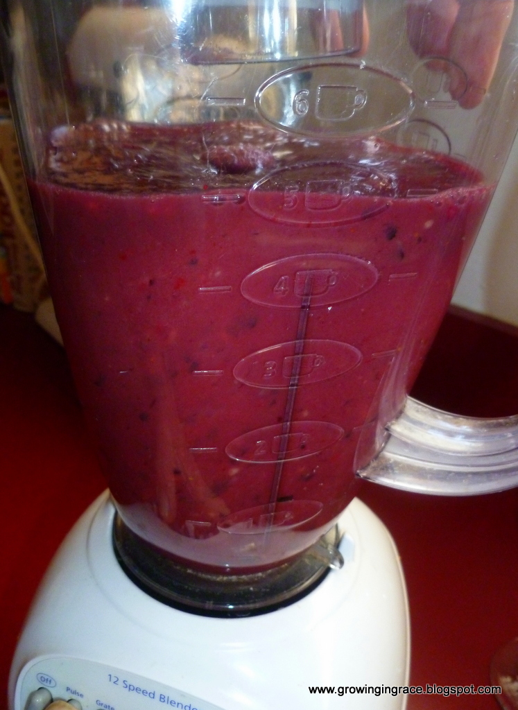 , Healthy 5 Fruit Smoothie, Growing in Grace