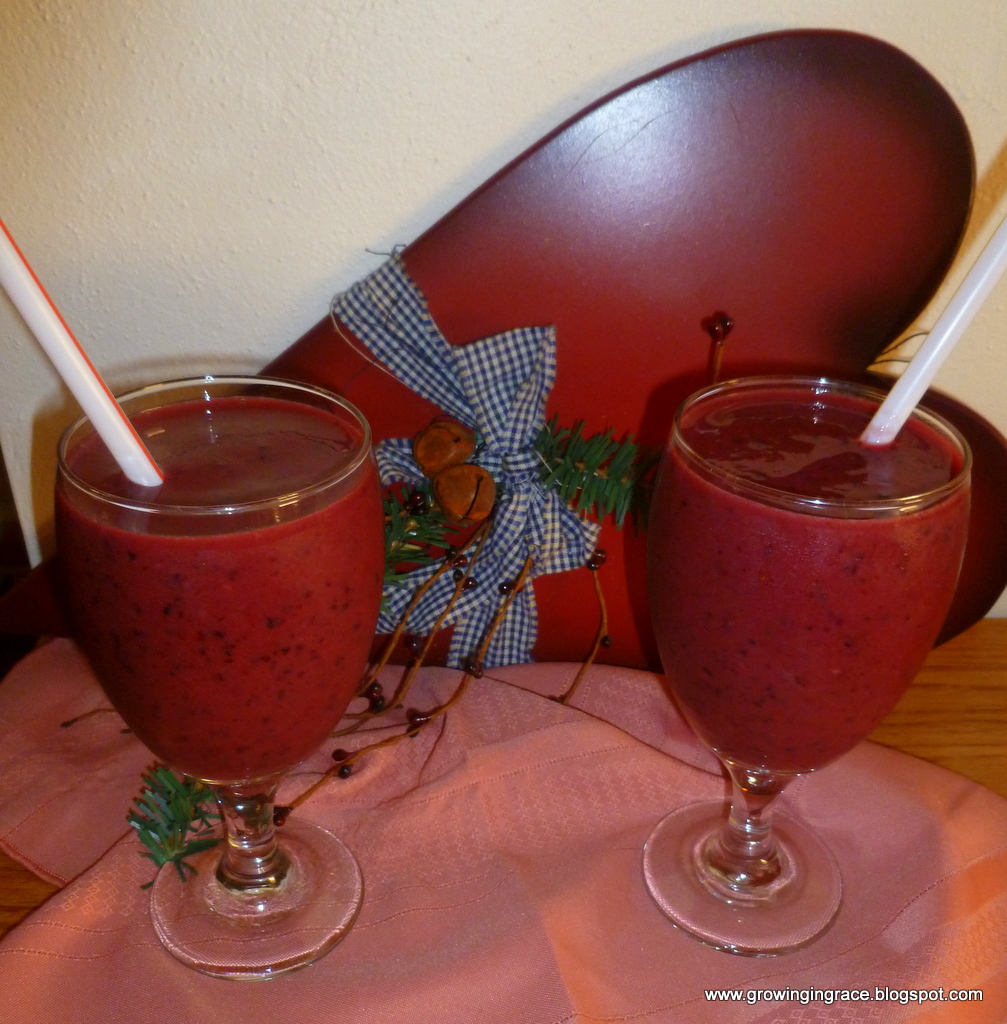 , Healthy 5 Fruit Smoothie, Growing in Grace