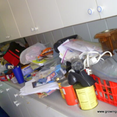Growing in Grace | Wash Room/Craft Room Organization