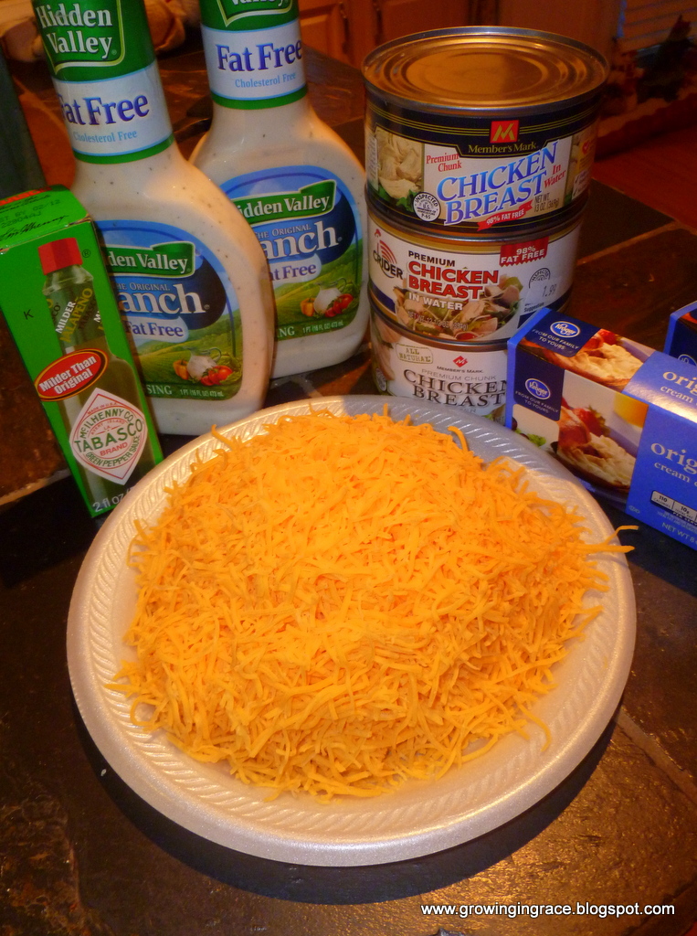 , Cheesy Chicken Dip with Tostitos Chips, Growing in Grace