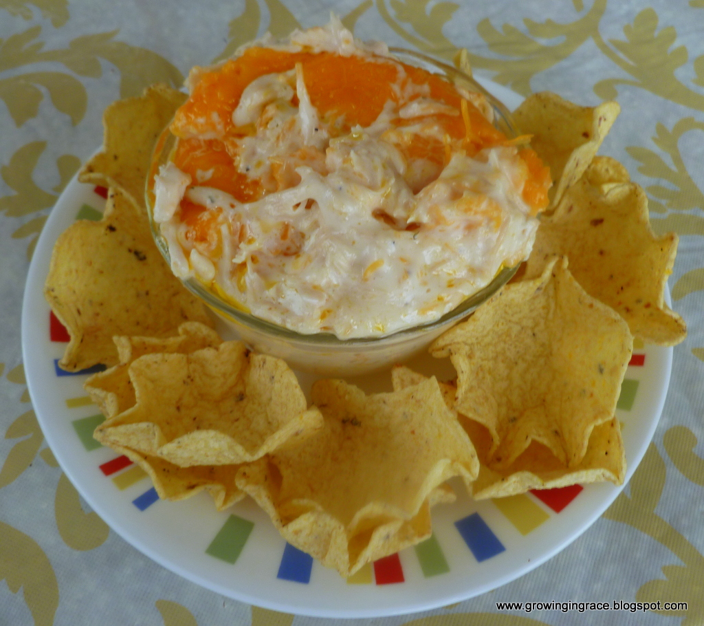 , Cheesy Chicken Dip with Tostitos Chips, Growing in Grace