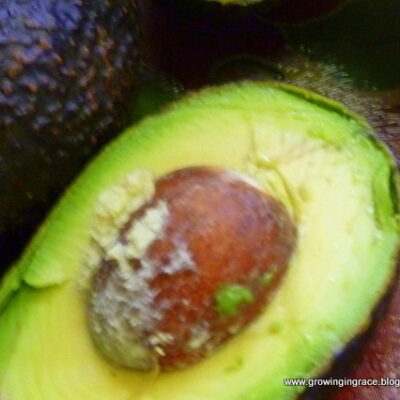 Growing in Grace | Guacamole Dip with Raw Vegetables