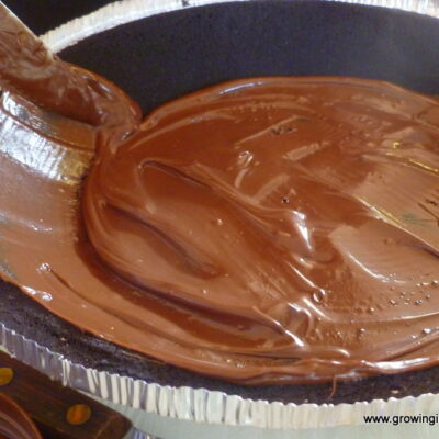 Growing in Grace | Nutella Oreo Peanut Butter Pie