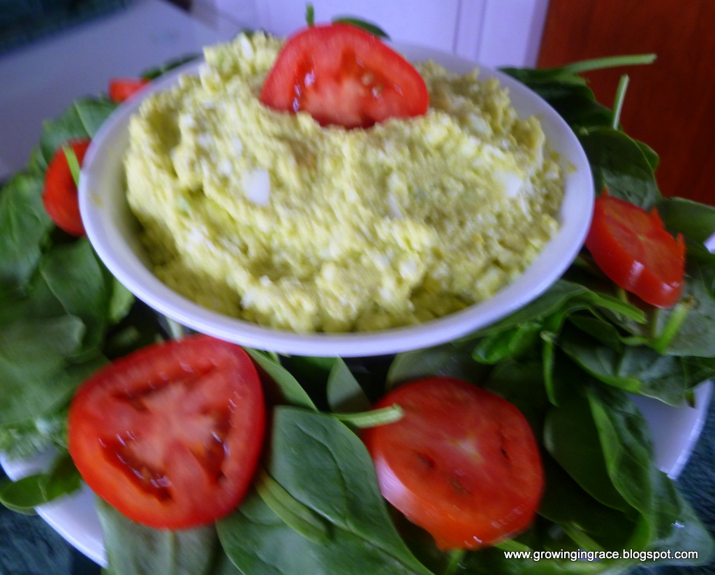 , Greek Yogurt Egg Salad with Avocado, Growing in Grace