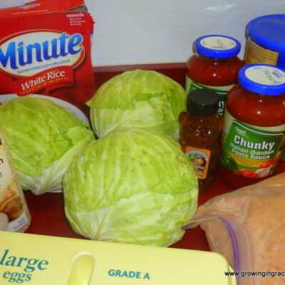 Growing in Grace | Cabbage Rolls Italian Style