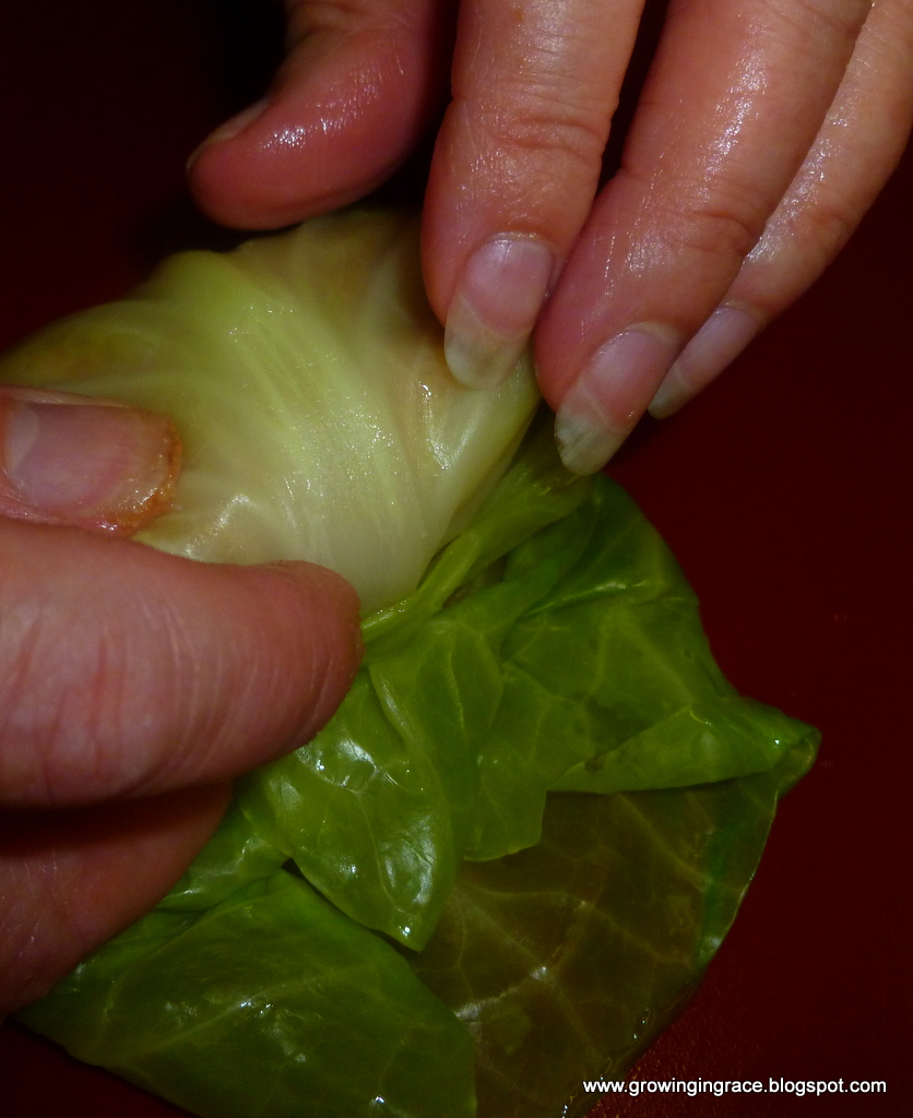 , Cabbage Rolls Italian Style, Growing in Grace
