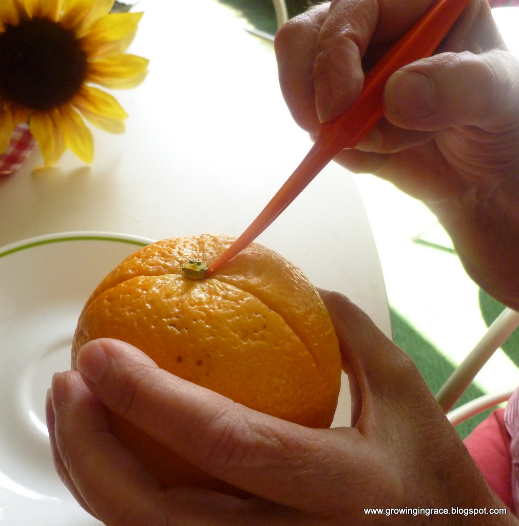 , How to Peel an Orange, Growing in Grace