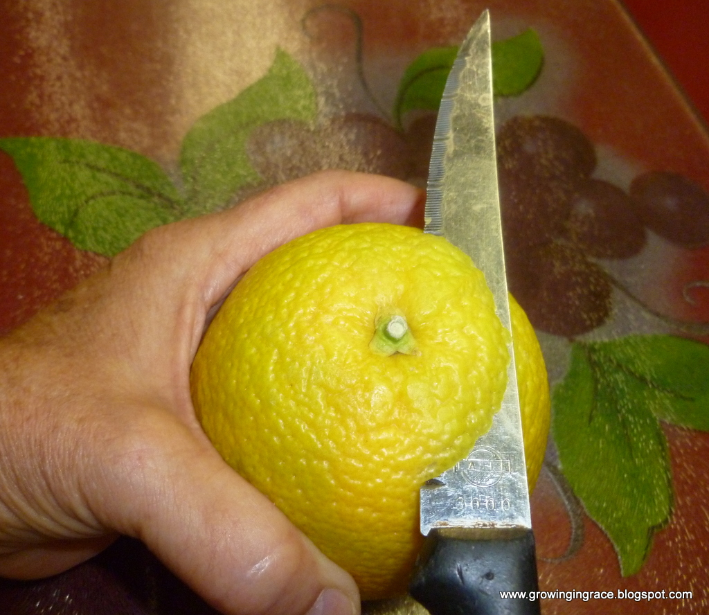 , How to Peel an Orange, Growing in Grace