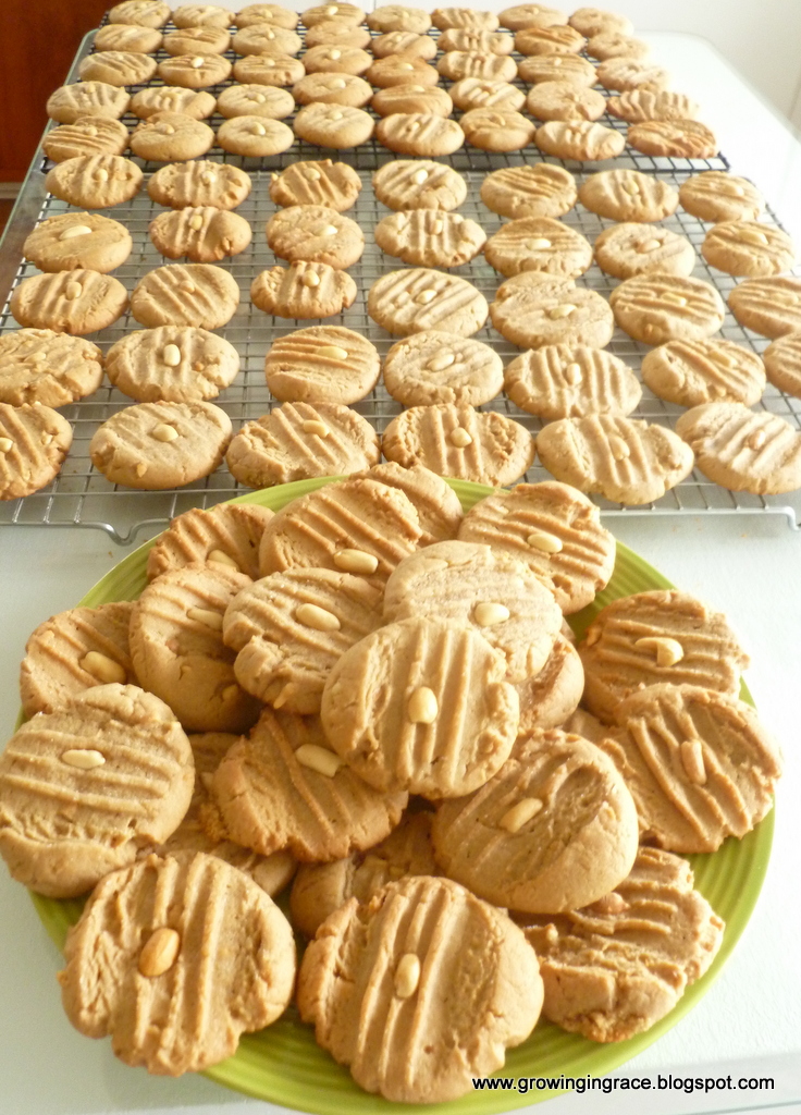 , Irresistible Peanut Butter Cookies, Growing in Grace