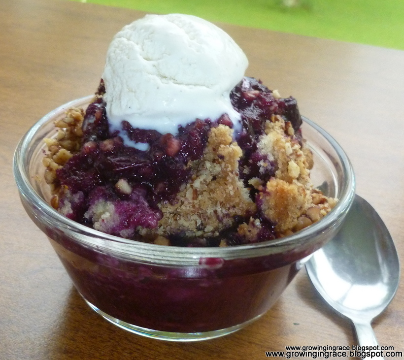 , Blueberry Cobbler with Strudel Topping, Growing in Grace