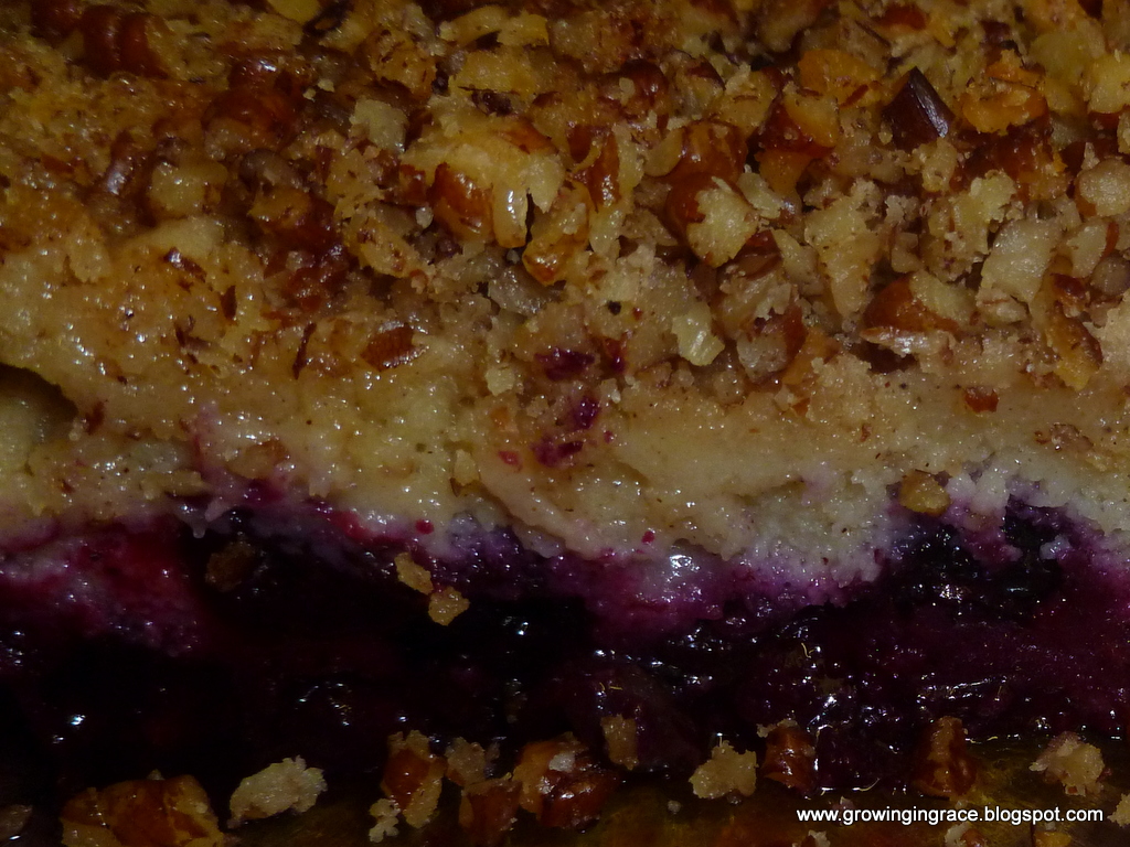 , Blueberry Cobbler with Strudel Topping, Growing in Grace