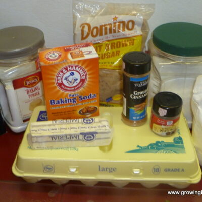 Growing in Grace | Banana Nut Bread with Streusel Topping