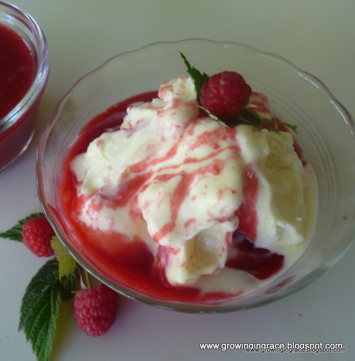 , Red Raspberry Sauce, Growing in Grace