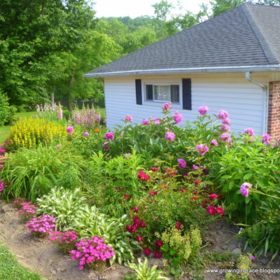 flowers west virginia