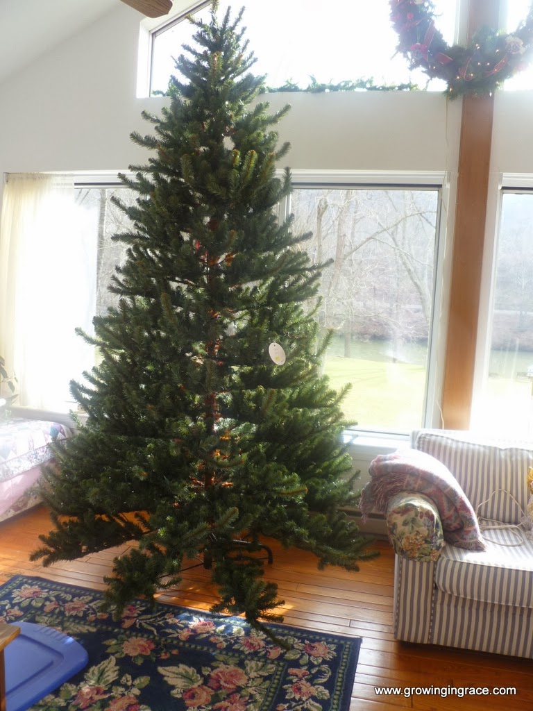 , Christmas Tree Bargain, Growing in Grace