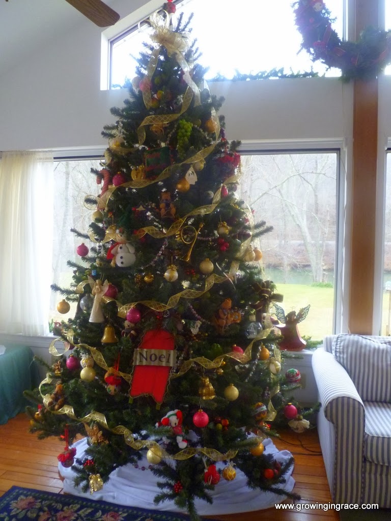 , Christmas Tree Bargain, Growing in Grace