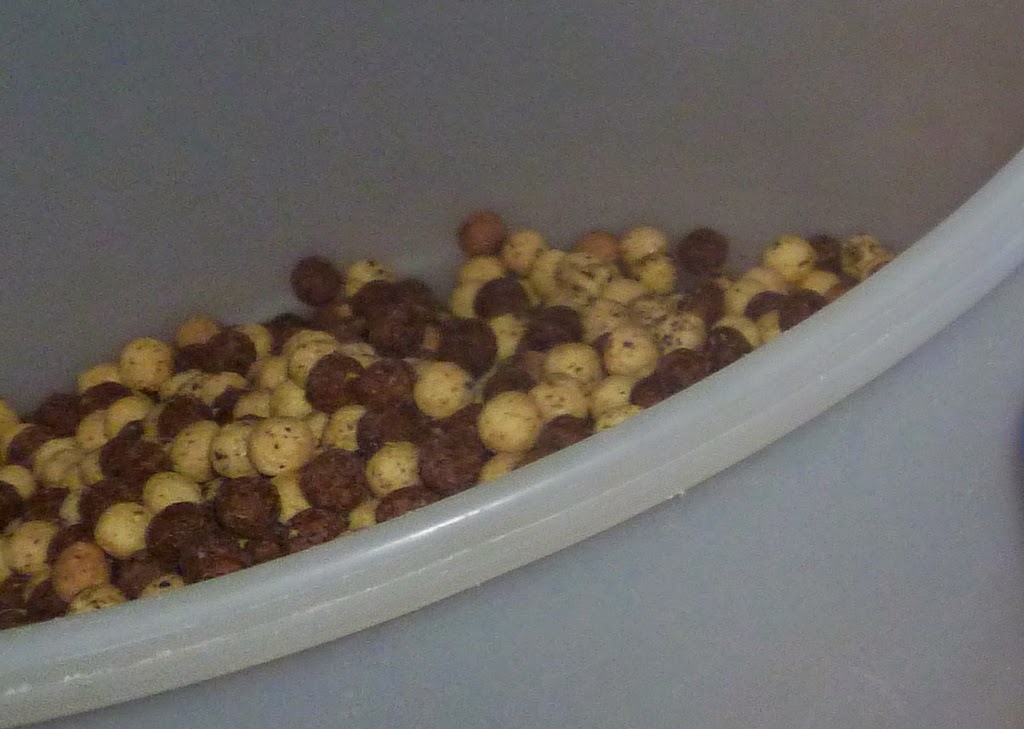 , Peanutty Cookies and Cream Cookies, Growing in Grace