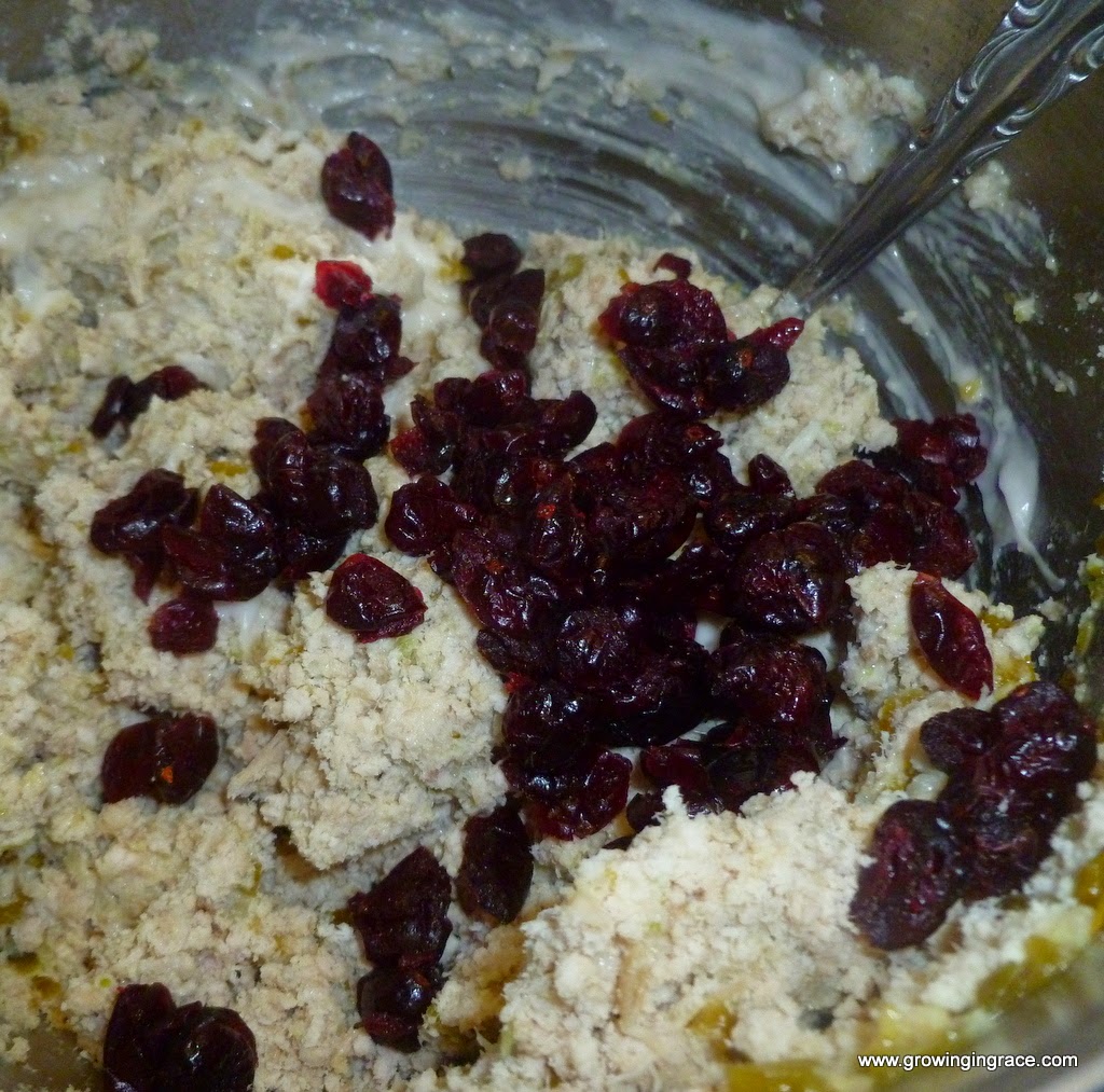 , Turkey Salad with Craisins, Growing in Grace