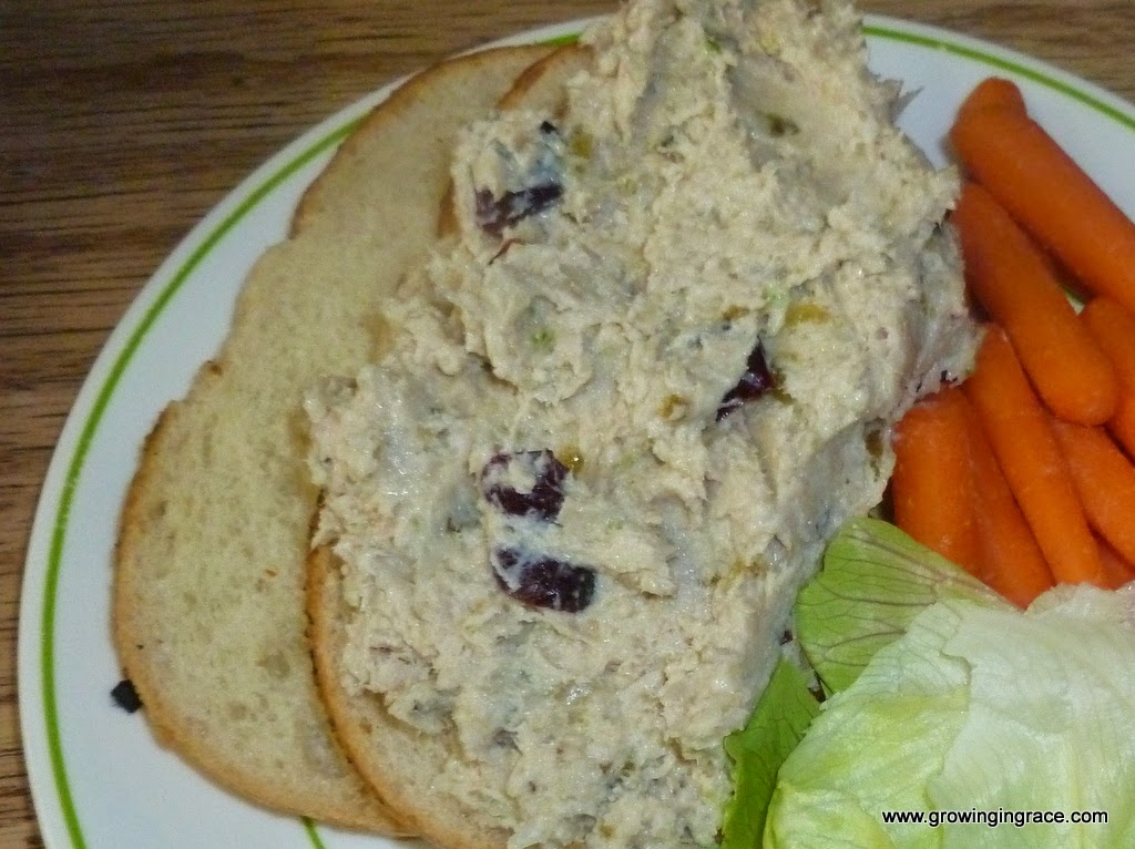 , Turkey Salad with Craisins, Growing in Grace